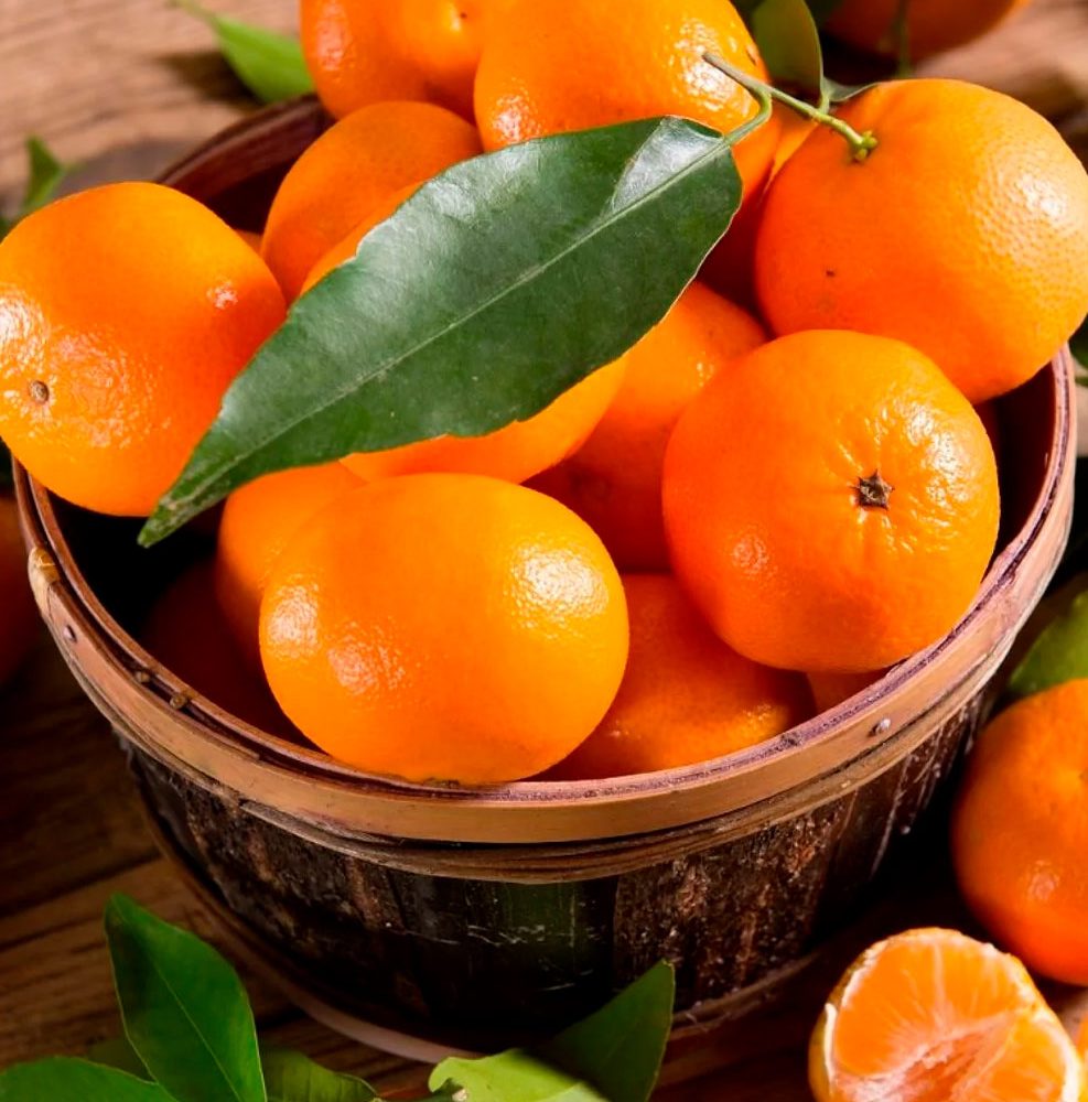 Mandarina