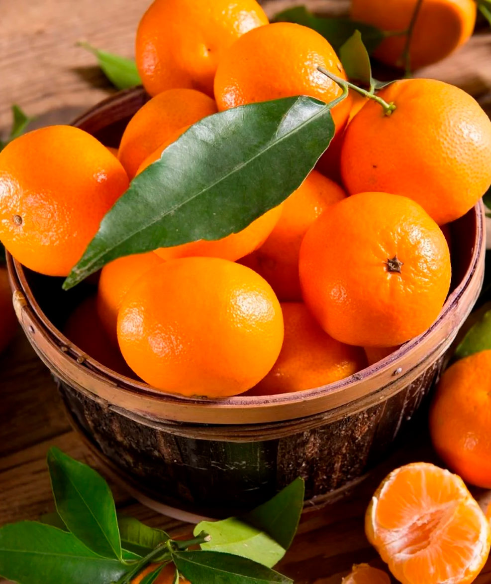 Mandarina